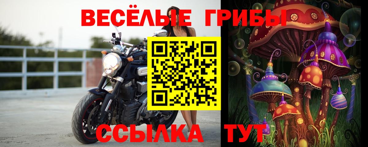 Тихвин  Псилоцибиновые грибы мицелий  дарнет шоп  Галлюциногенные грибы MAGIC MUSHROOMS  Вход с VPN 